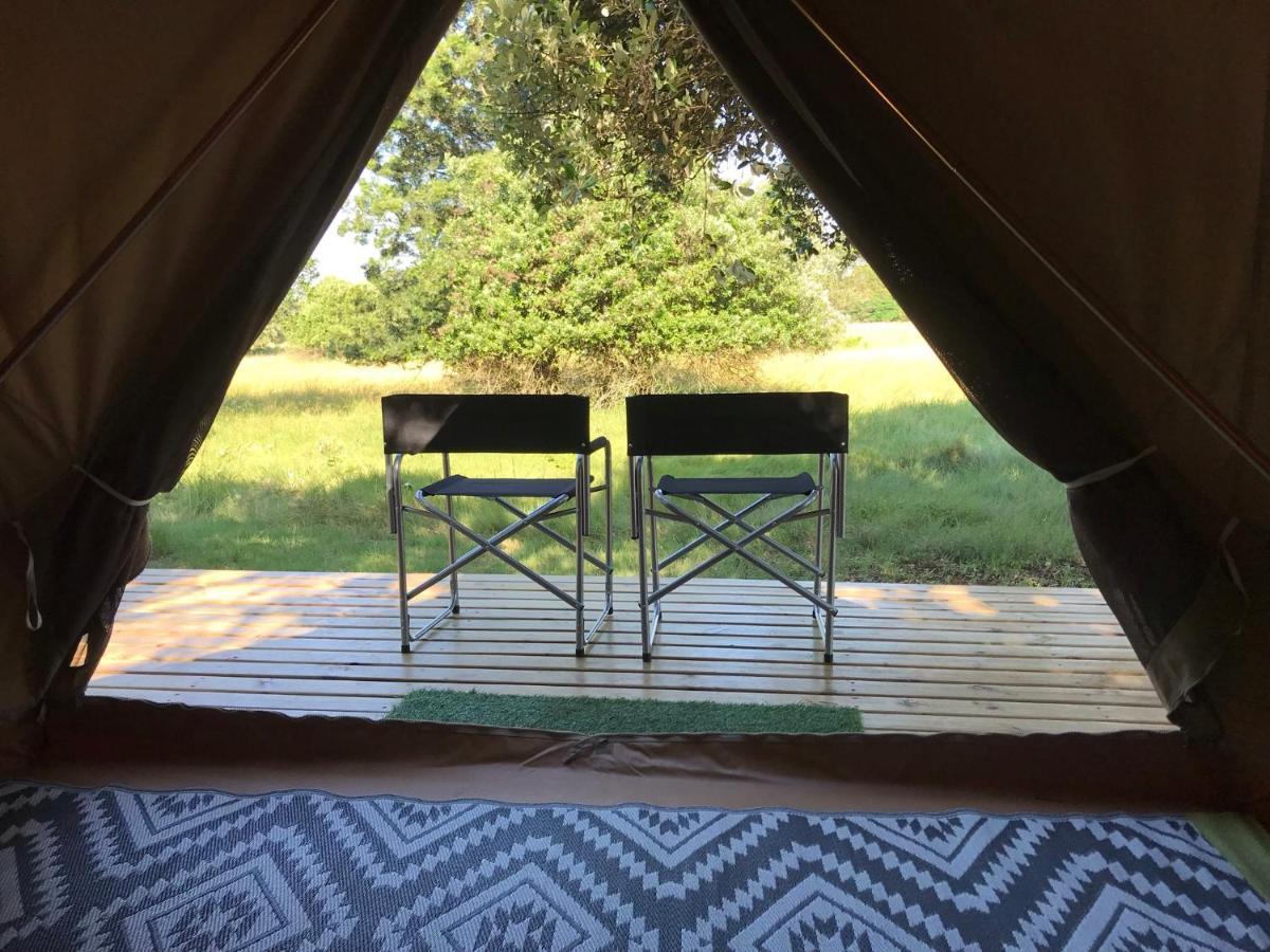 Luxe tent Bush Camp Glamping Village *
