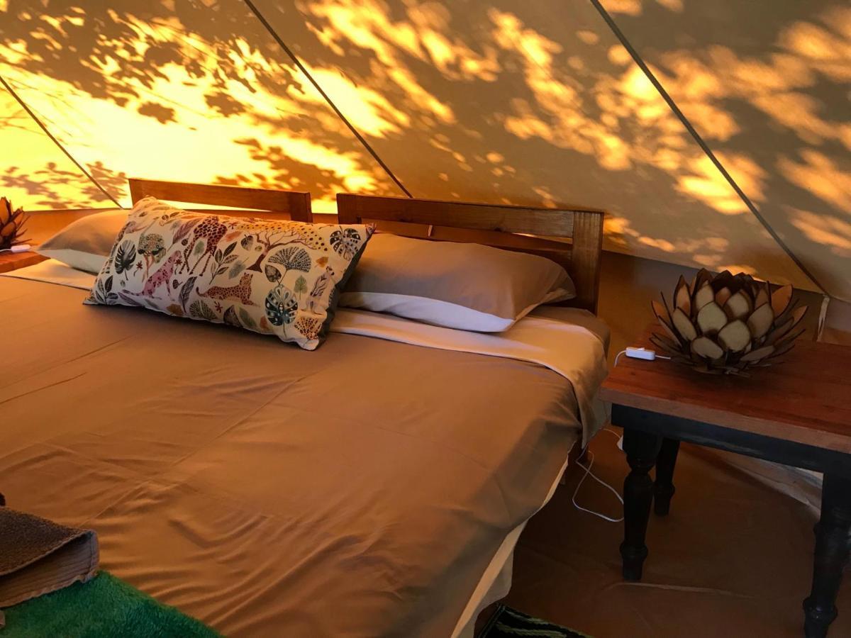 Bush Camp Glamping Village * Hluhluwe
