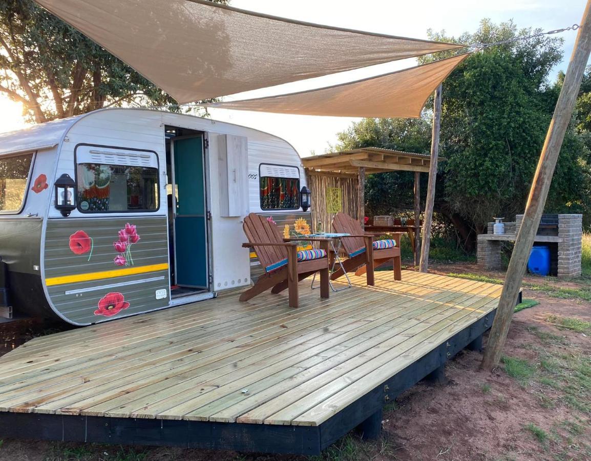 Luxe tent Bush Camp Glamping Village